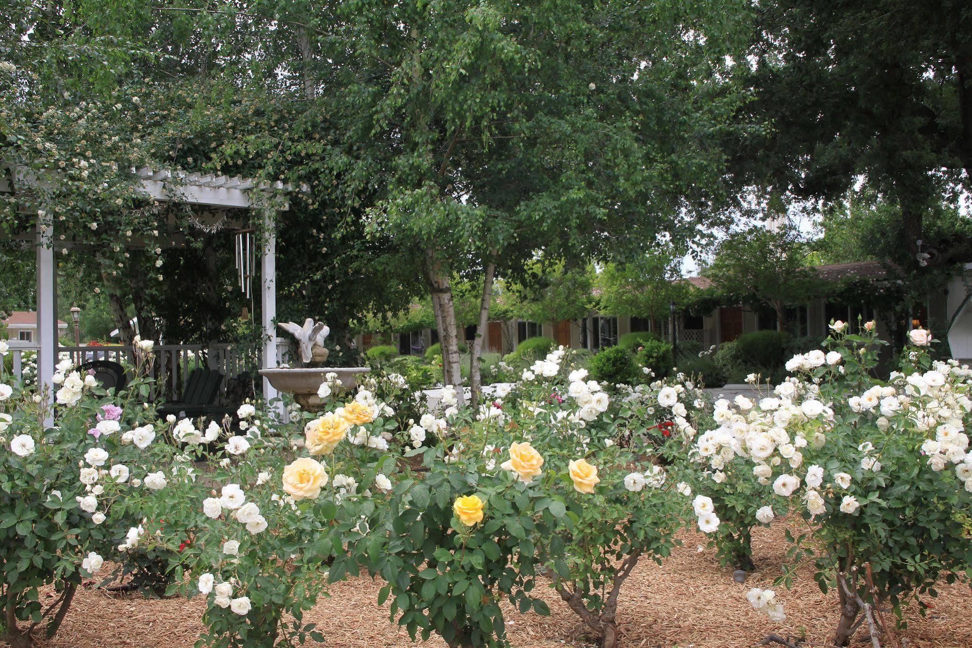 Meadowlark Inn โซลแวง ภายนอก รูปภาพ